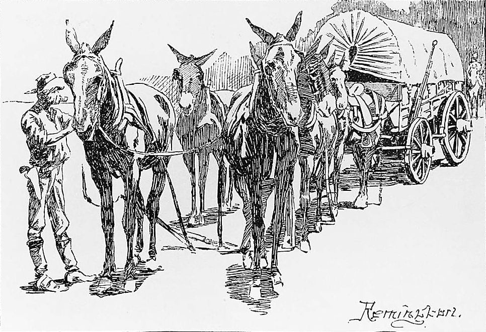 A Six-Mule Government Team and Wagon